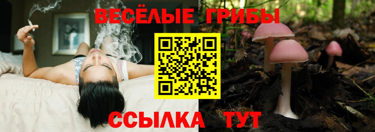 Псилоцибиновые грибы MAGIC MUSHROOMS Асбест